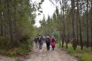 Caminhada_34