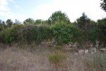 dsc0249